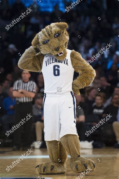 Villanova Wildcats Mascot Scotches Head 35th Editorial Stock Photo ...