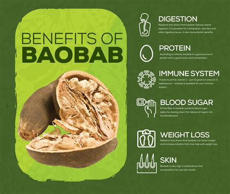 The Benefits Of Baobab Powder – organifi