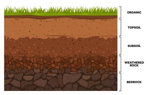 infográficos da camada do solo, textura do subsolo da terra 12721599 ...