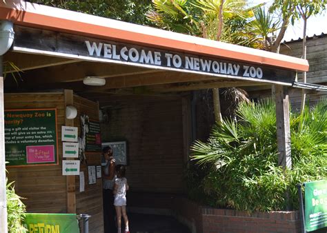 A Day Out At: Newquay Zoo — Cornwall 365 What's On