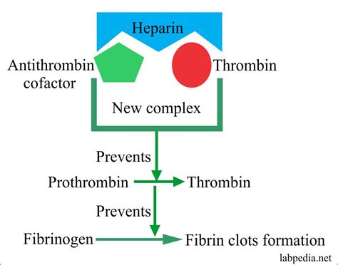 Blood sample:- Part 6 – Anticoagulants, Preservatives, Blood sample Types, Adverse effects of ...