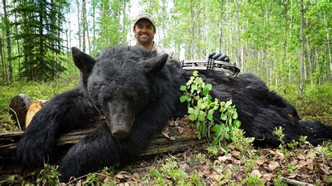 black bear hunting tips | Pure Hunting