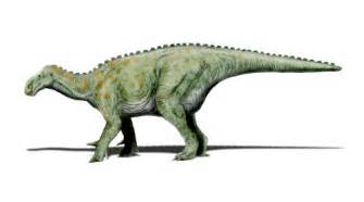 Iguanodon | Extinct Animals