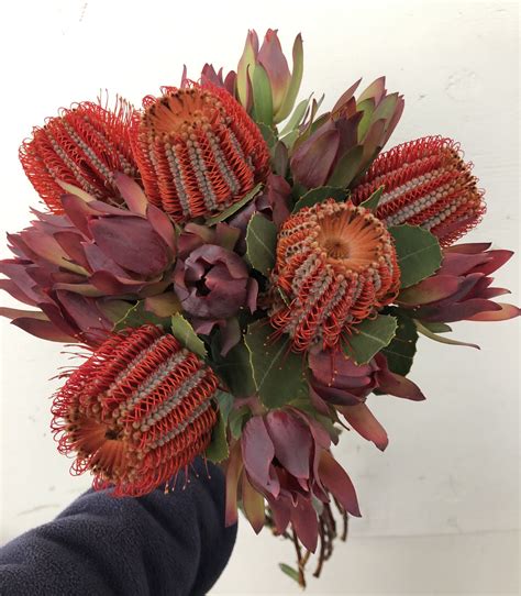 Protea Bouquet, Fall Wreath, Wedding Bouquets, Wreaths, Reference, Flowers, Hope, Remember, Decor