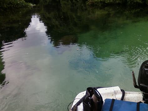 Boating & Swimming With The Manatee | Central Florida | Wordless Wednesday | Mother Baby Child ...