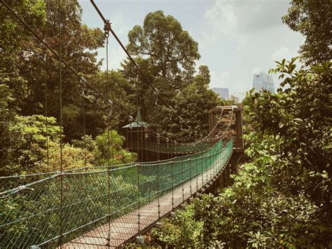 Kuala Lumpur: Hiking Spot in Malaysia - KL Forest Eco Park - Doing Life with Iuliya