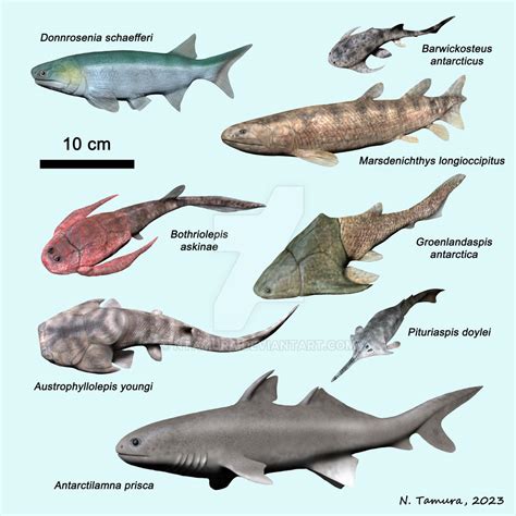 Devonian Fish Series #17 by NTamura on DeviantArt