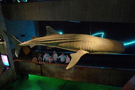 Whale Shark Sculpture | Eric Kilby | Flickr