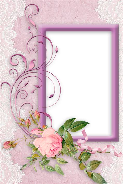 Nice Pink PNG Frame with Rose | Gallery Yopriceville - High-Quality ...