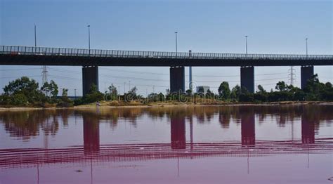 Lake with Naturally Pink Water Editorial Stock Photo - Image of tropical, ripple: 142477488