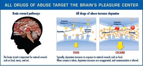 What is a Dopamine and what does it do? - The Haynes Clinic