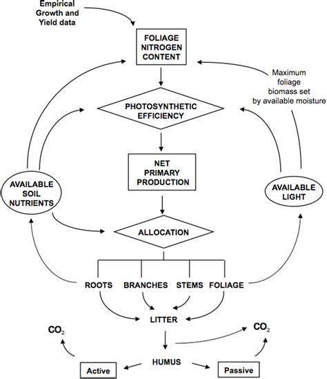 Schematic illustration of the key ecosystem processes and flows ...