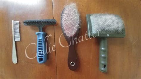 Rough Collie Grooming Tools | Brought to you by Collie Chatter