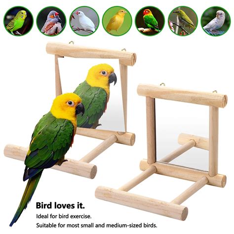 Bird Mirror With Wooden Perch Interactive Hanging Toy Game For Parrot Budgie Parakeet Cocker ...