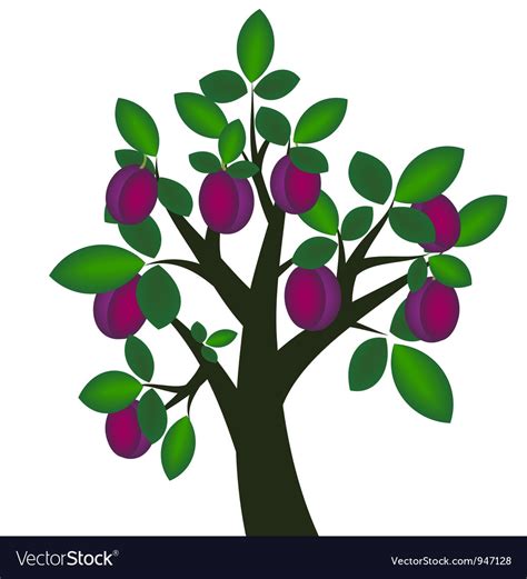 Plum tree Royalty Free Vector Image - VectorStock