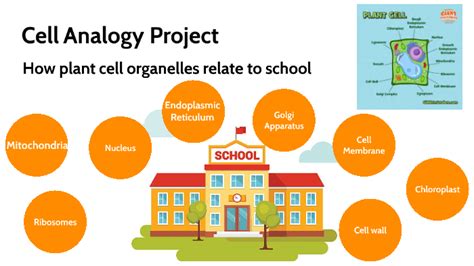 Cell Analogy Project by Caroline Legere on Prezi