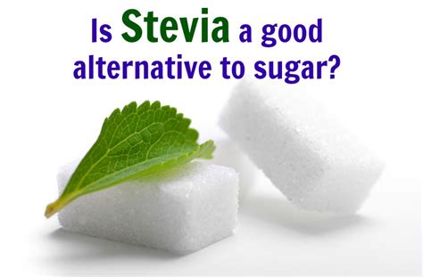 Is Stevia a good alternative to sugar? - LA Healthy Living