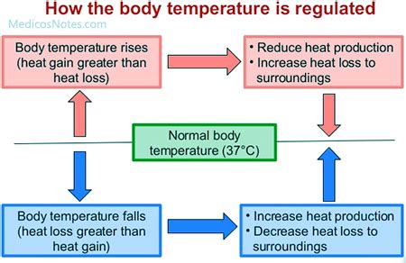 Normal Body Temperature Diagram