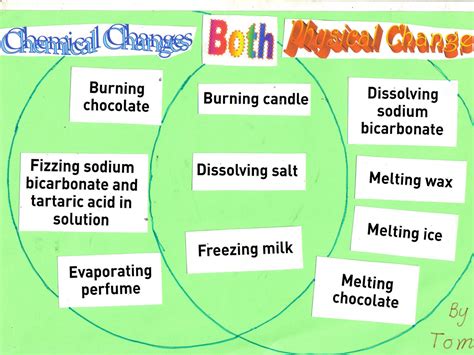 Physical And Chemical Venn Diagram