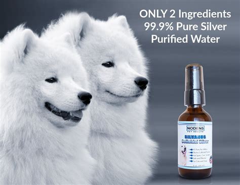 Holistic Pet Care Colloidal Silver | Pets Animals US