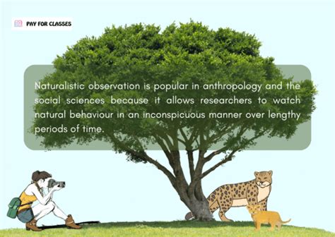 Let’s Learn a Little About Naturalistic Observation