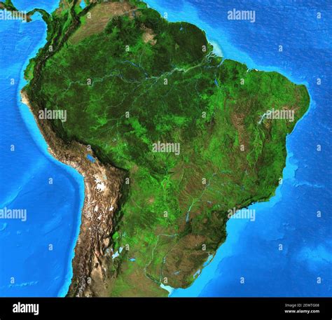 Physical map of Brazil. Geography and topography of Amazon rainforest. Detailed flat view of the ...