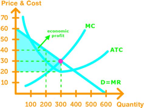 Price Discrimination: Maximize Profits in Economics | StudyPug