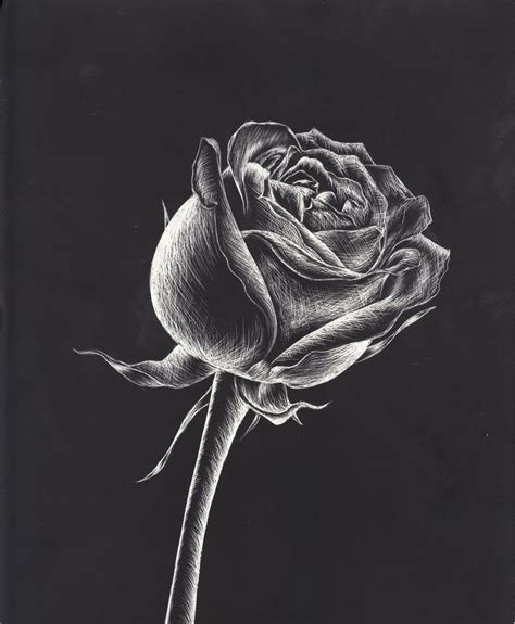 easy scratchboard art - Google Search | Scratchboard art, Black paper ...