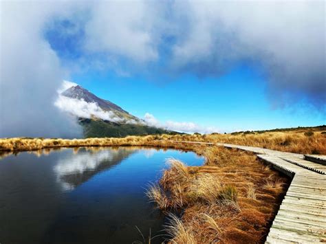 4 Day Taranaki Discovery Tour | Hiking Tour | Walking Legends