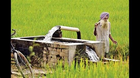 Punjab to use tertiary treated water for irrigation: Hayer - Hindustan ...