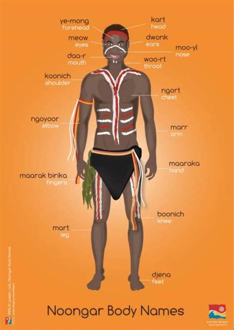 Noongar Body Names for Kids