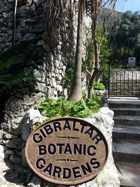 Gibraltar Botanic Gardens (aka the Alameda Gardens), Gibraltar | Rock ...