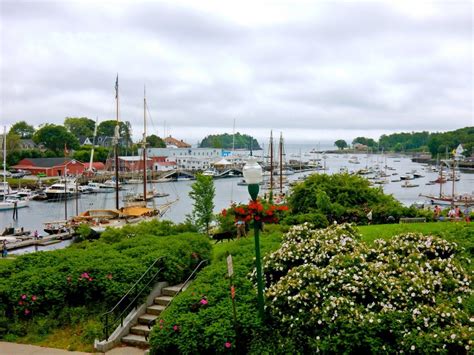 a harbor filled with lots of boats and flowers