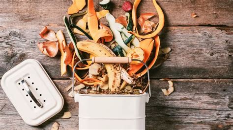 What is Bokashi Composting? (Everything You Should Know!)