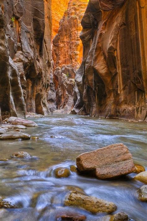 10 of the most beautiful slot canyons | Slot canyon, Zion national park, Hiking the narrows