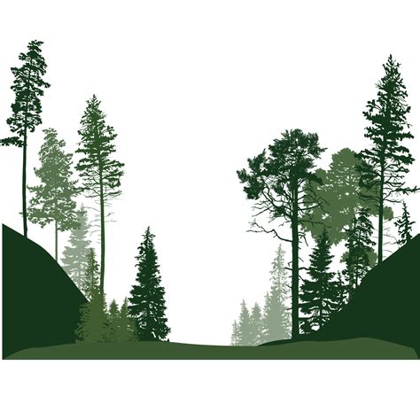 Forest Euclidean vector Tree - Forest trees png download - 1500*1500 ...