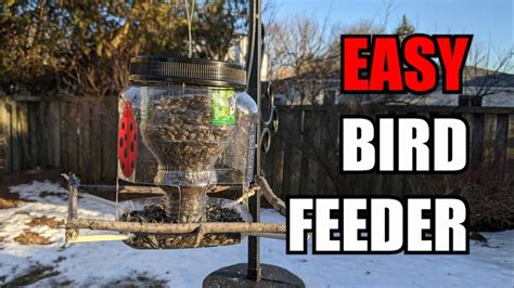 Easy DIY Bird Feeder from Recycled Materials- $0 – starkidslearn.com