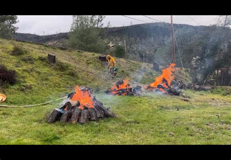 Your Burning Questions: Winter Defensible Space - Napa Communities ...