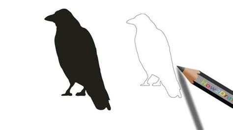 10+ Crow Drawing Easy | Crows drawing, Easy drawings, Drawings