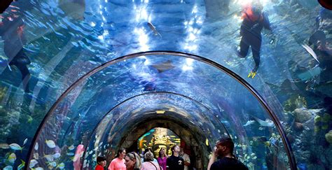 PRA New Orleans Venues: Aquarium of the Americas