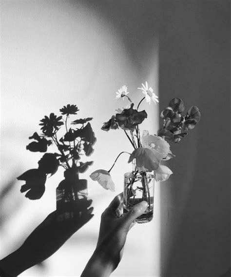 Flowers and Shadow | Black and white photo wall, Black and white ...