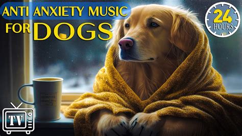 24 Hours Deep Anti Anxiety Music for Dog Relaxation: Tones to Calm ...