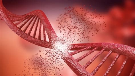 First Human Trial Using CRISPR Gene-Editing in US Begins