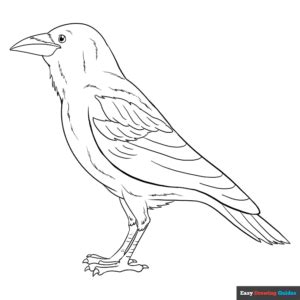 Raven Coloring Page | Easy Drawing Guides