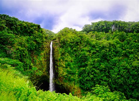 Akaka Falls – Hawaii – Amit Bapat's Photoblog