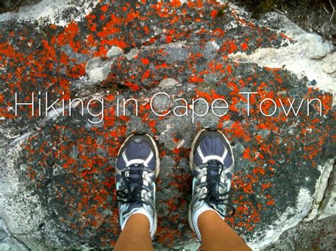 Hiking in Cape Town