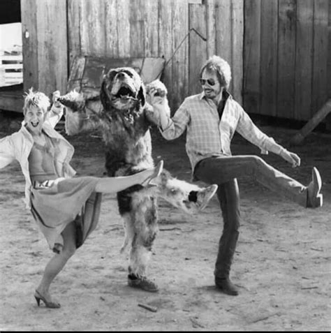 Behind the scenes of Cujo (1983) : r/80s