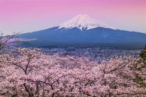 STUNNING JAPAN MOUNT FUJI LANDSCAPE CANVAS #394 WALL HANGING PICTURE ...