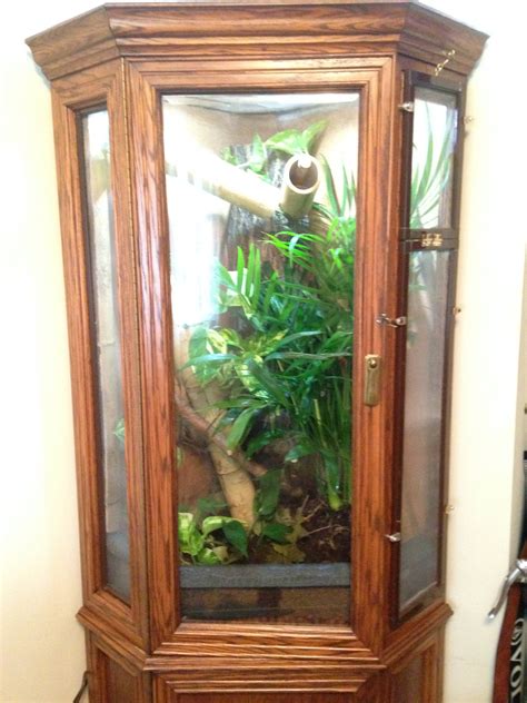 HOW TO: Convert Cabinet into Reptile Enclosure – Animals at Home