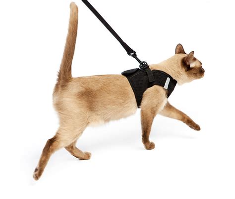 Cat Harness Leash